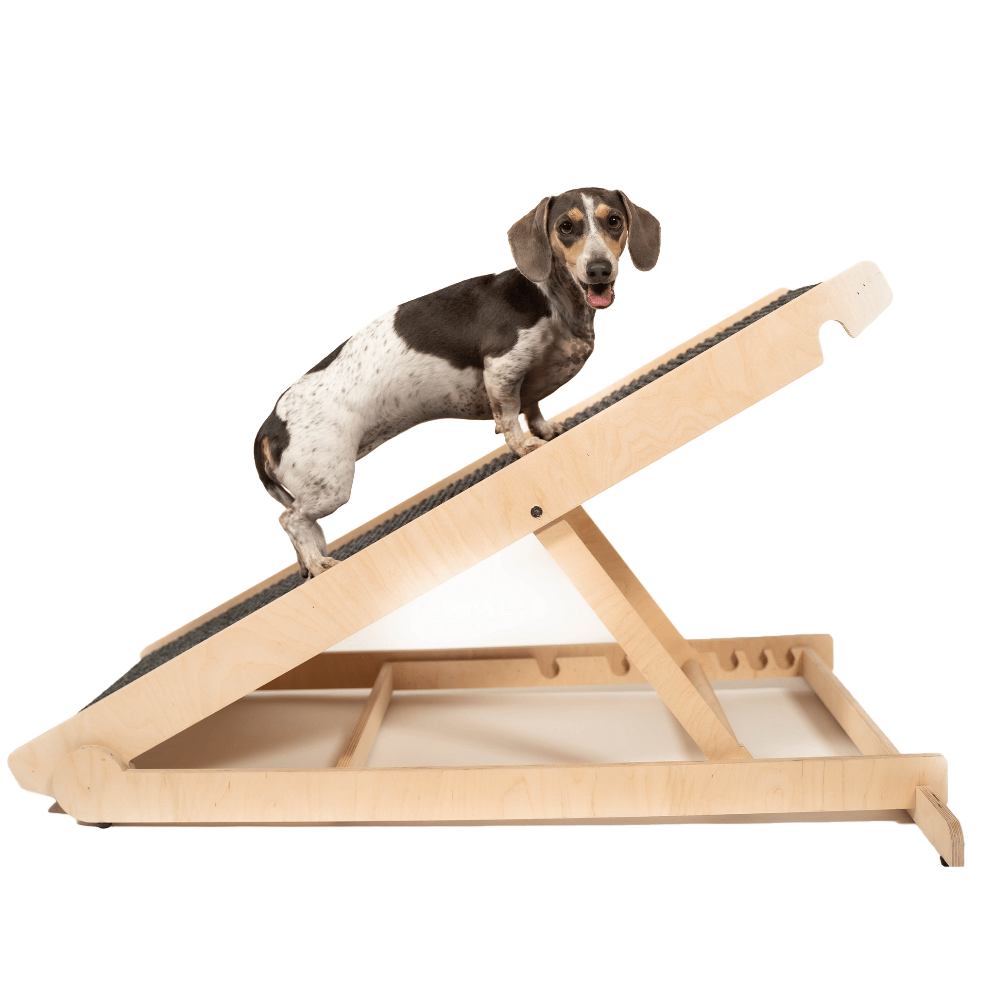 PawRamp - Dog Ramp - 4 Adjustable Heights Bed/Couch - Pet Ramp 40 - Folds  Flat