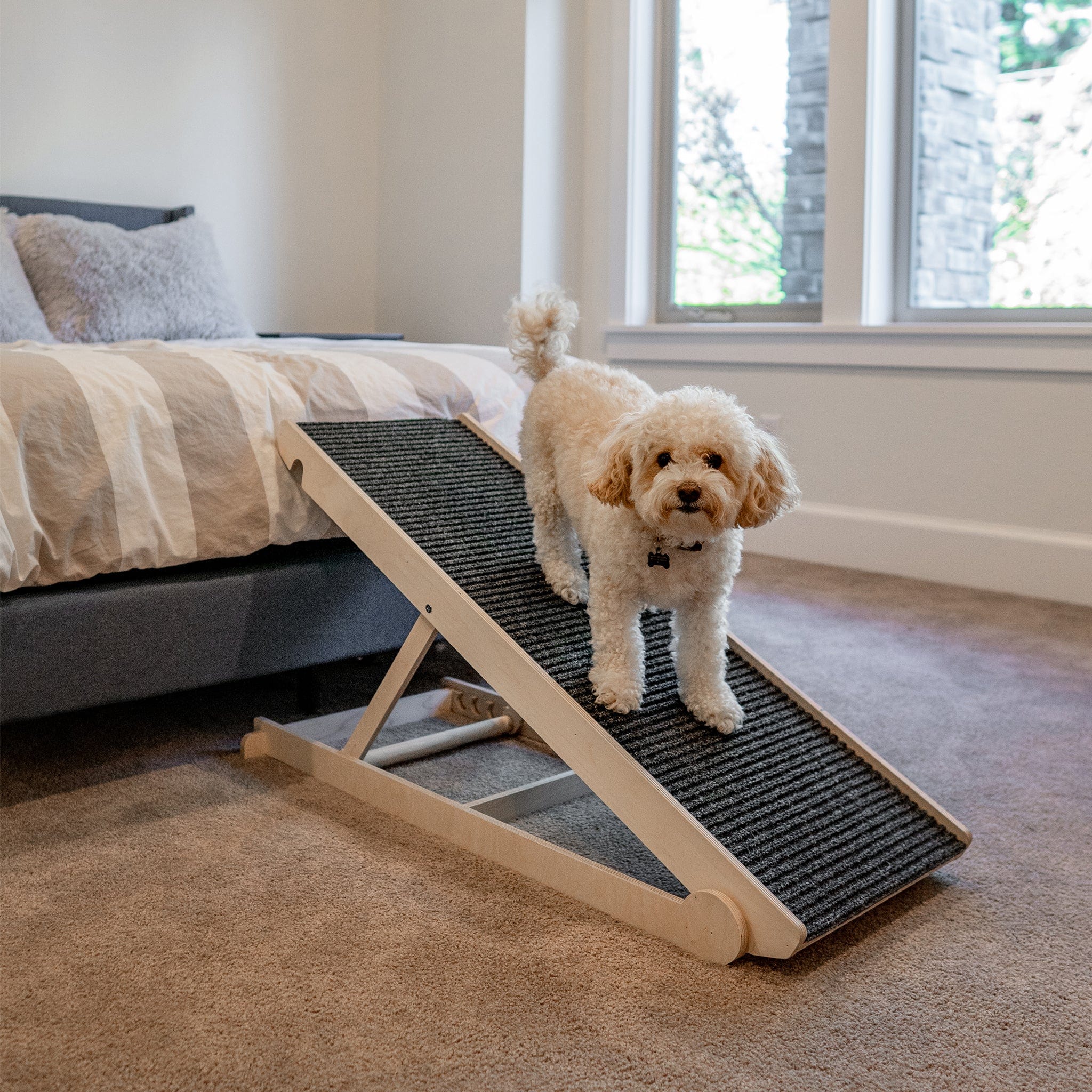 Bed Frame Diy Dog Ramp For High Bed Plans Wide Dog Ramp USA Made