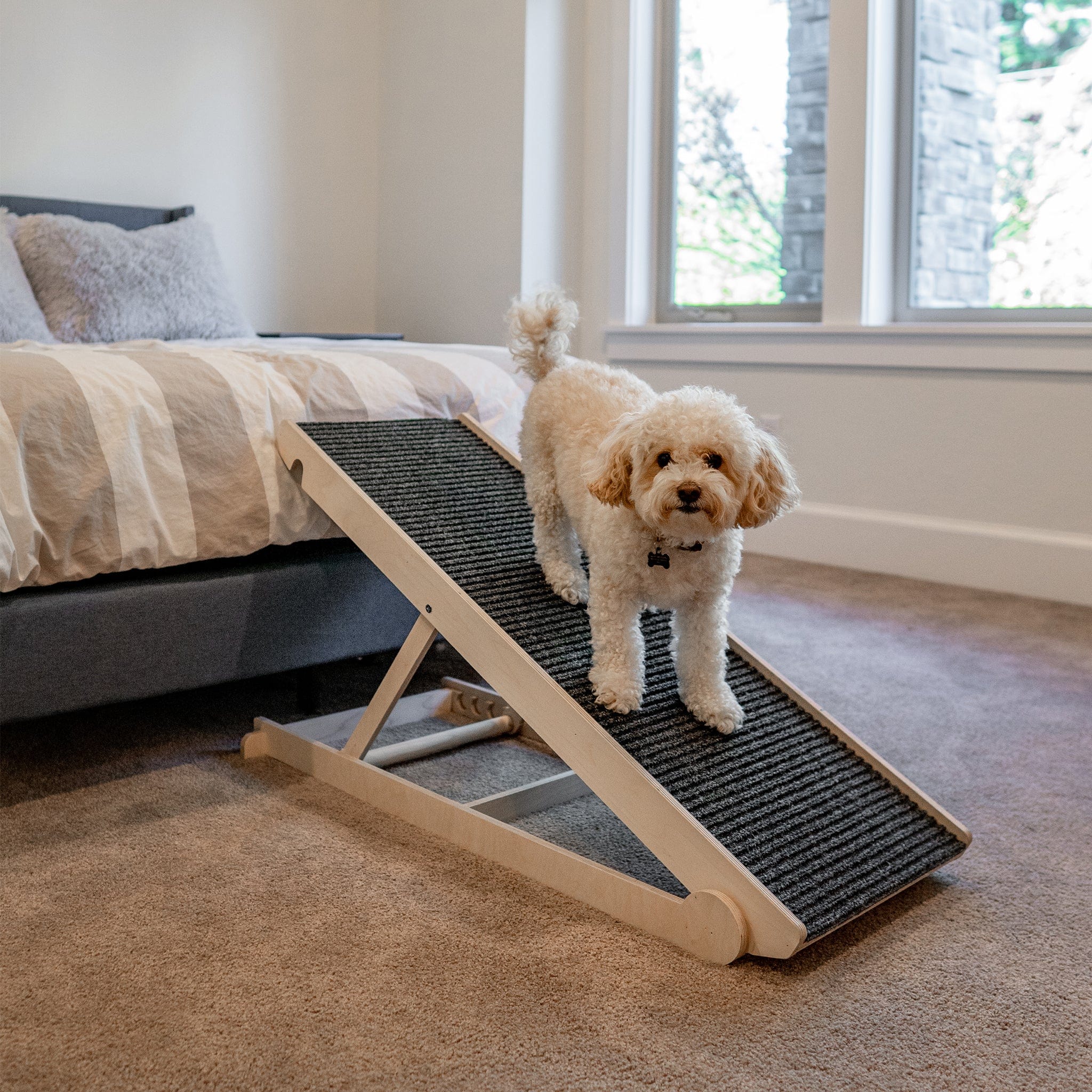 USA Made Dog Ramp For Bed or Couch - Adjustable from 14" to 24" Inches - Holds Over 200LBS -  For Small or Large Dogs