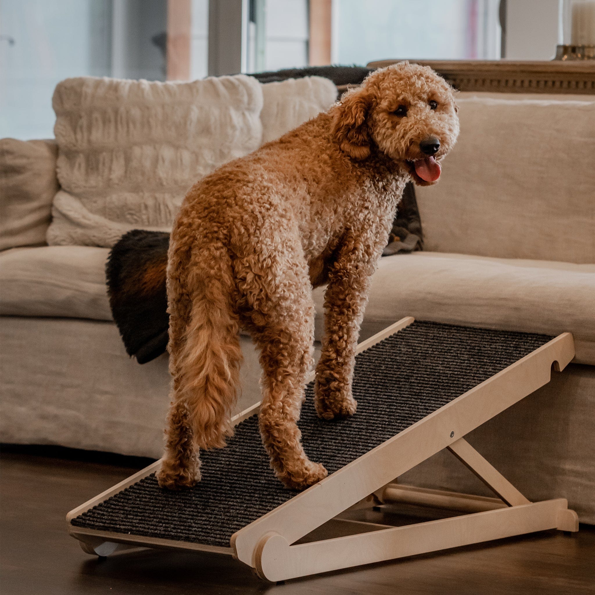 USA Made Dog Ramp For Bed or Couch - Adjustable from 14" to 24" Inches - Holds Over 200LBS -  For Small or Large Dogs